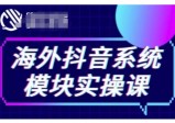 海外抖音Tiktok系统模块实操课，TK短视频带货，TK直播带货，TK小店端实操等