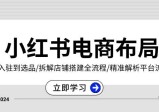 小红书电商布局：从入驻到选品/拆解店铺搭建全流程/精准解析平台流量优势