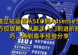 独立站运营从SEO到Adsense全方位攻略，从新手入门到进阶技巧，再到高手经验分享