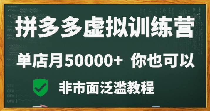 拼多多虚拟产品电商训练营：月入30000+你也行，暴利稳定长久，副业首选  第1张