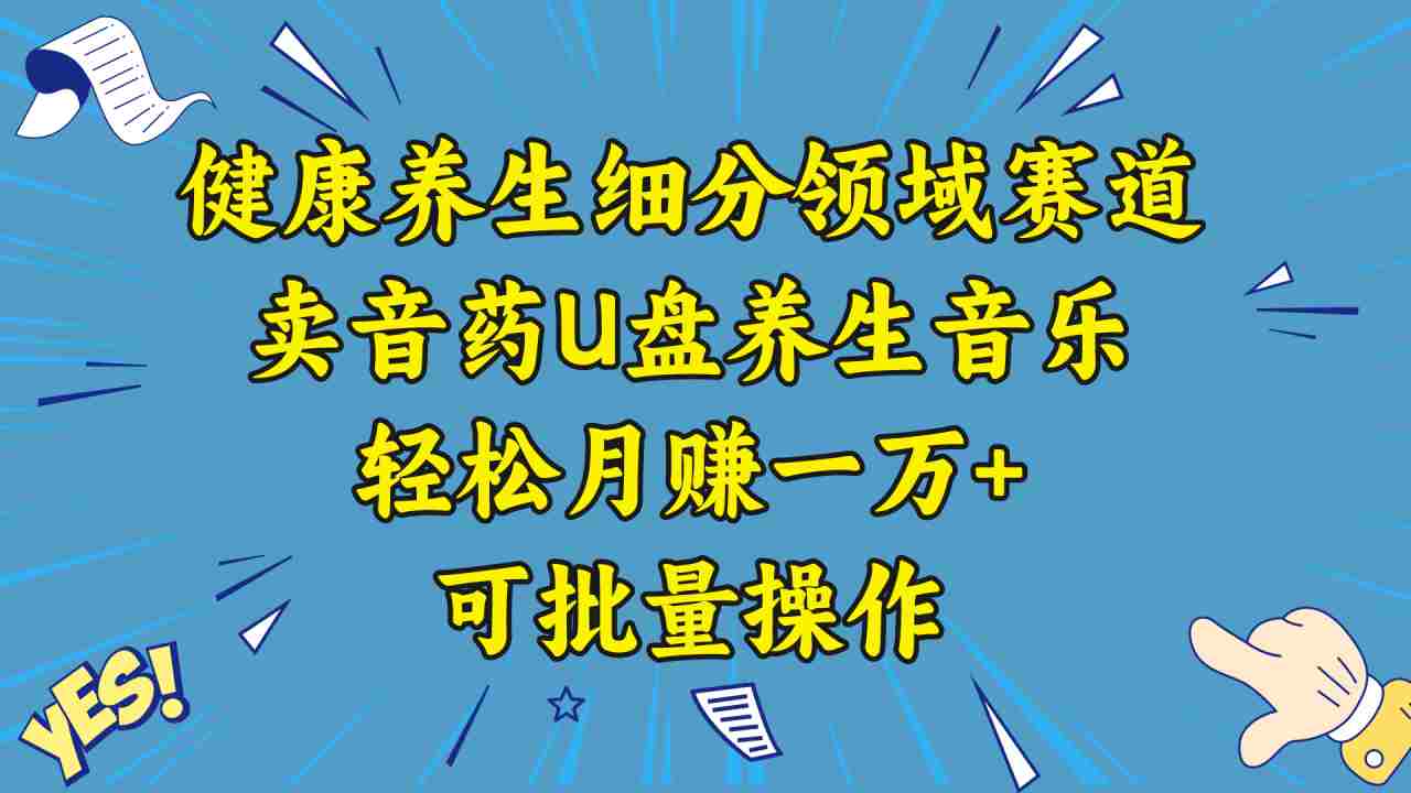 五行音乐养生：细分领域赛道卖音药U盘，打造轻松月赚一万+的健康养生项目  第1张