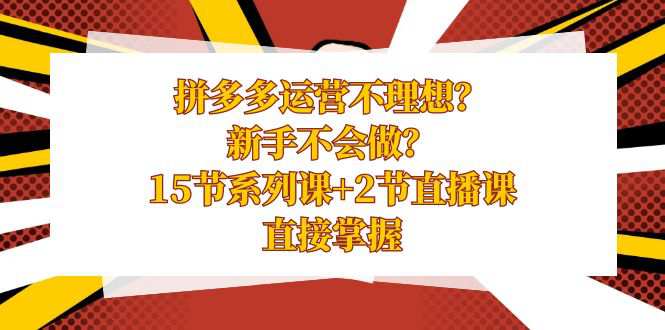 拼多多运营课程，新手不会做？15节系列课+2节直播课，直接掌握  第1张