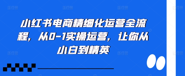 小红书电商精细化运营全流程，从0-1实操运营，让你从小白到精英  第1张