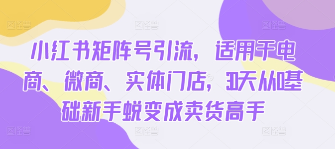 小红书矩阵号引流，适用于电商、微商、实体门店，30天从0基础新手蜕变成卖货高手  第1张