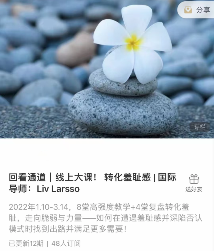 转化羞耻感 _ 国际导师：Liv Larsso资源  第1张