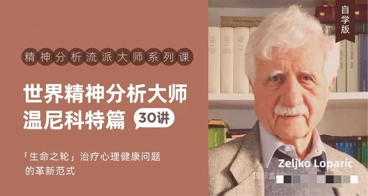 世界精神分析大师系列课——温尼科特篇【视频课30讲】  第1张