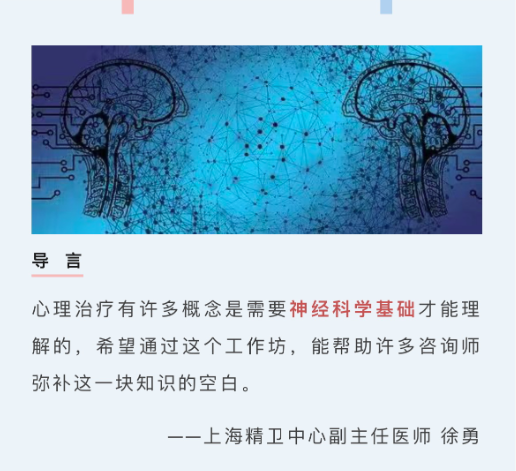 徐勇：神经科学视角下的心理治疗资源  第1张