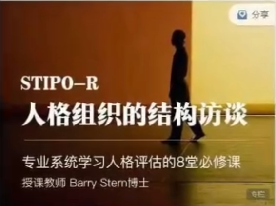 人格组织的结构访谈STIPO,专业系统学习人格评估的8堂必修课  第1张