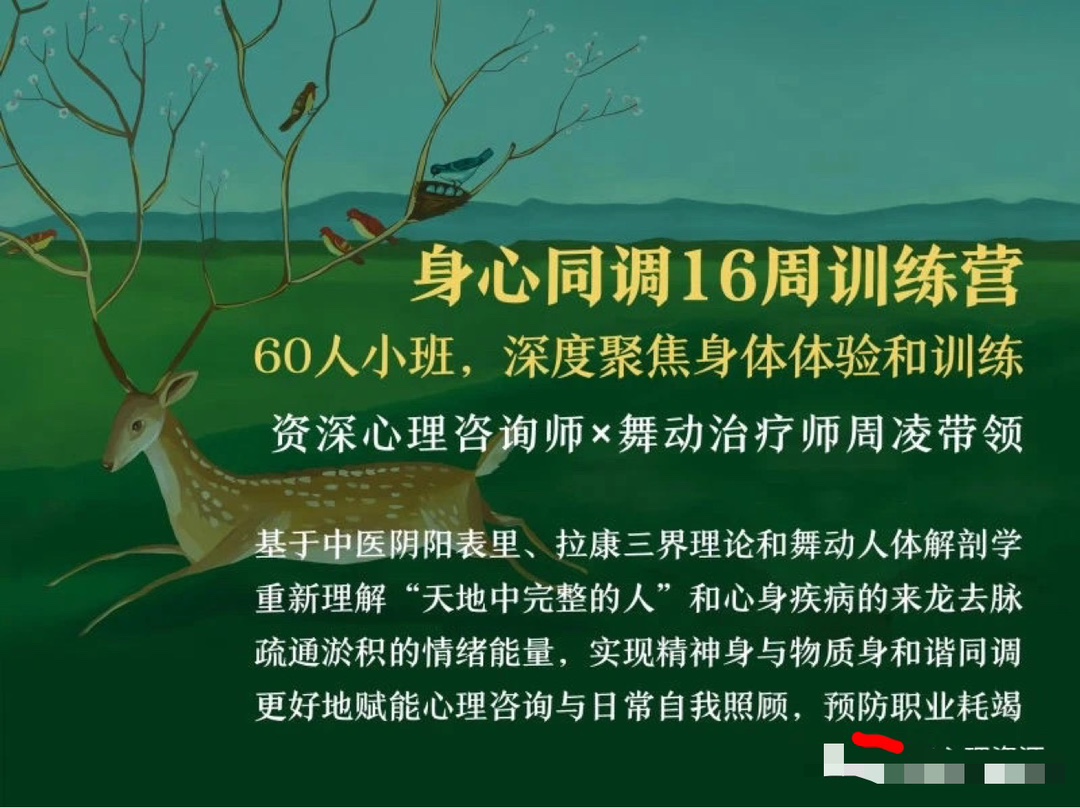 周凌：身心同调16周训练营丨整合中医、舞动与拉康，赋能心理咨询与自我照顾  第1张