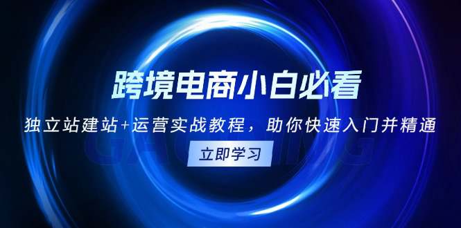 跨境电商小白必看！独立站建站+运营实战教程，助你快速入门并精通  第1张