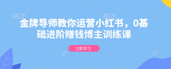 金牌导师教你运营小红书，0基础进阶赚钱博主训练课  第1张