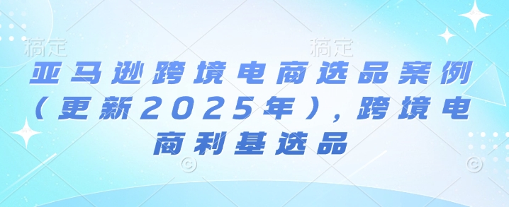 阿甘亚马逊跨境电商选品案例(更新2025年)，跨境电商利基选品  第1张