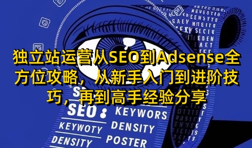 独立站运营从SEO到Adsense全方位攻略，从新手入门到进阶技巧，再到高手经验分享  第1张